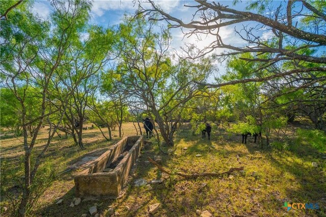 2455 County Road 2699, Lometa, TX 76853 - photo 31