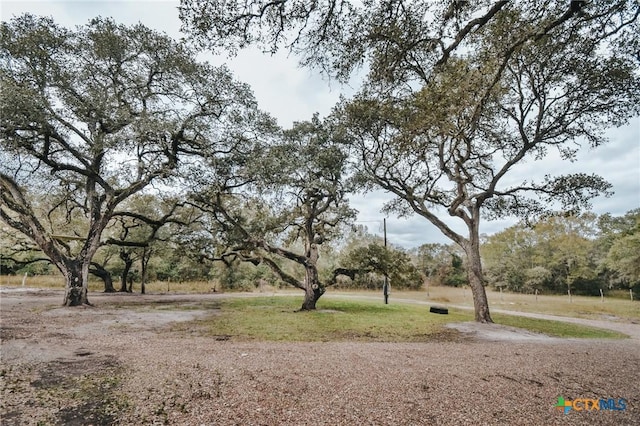 view of nature