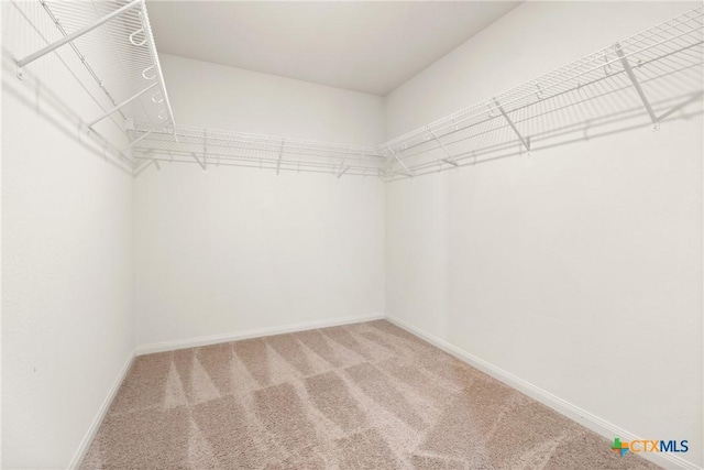 spacious closet featuring carpet flooring