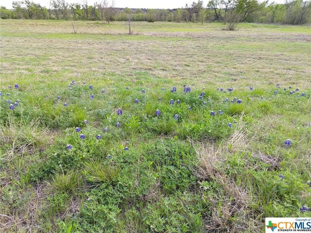 4595 Harmon Rd, Copperas Cove, TX 76522 - photo 11