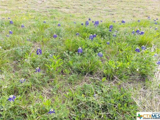 4595 Harmon Rd, Copperas Cove, TX 76522 - photo 12