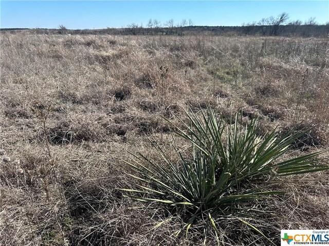 4595 Harmon Rd, Copperas Cove, TX 76522 - photo 5