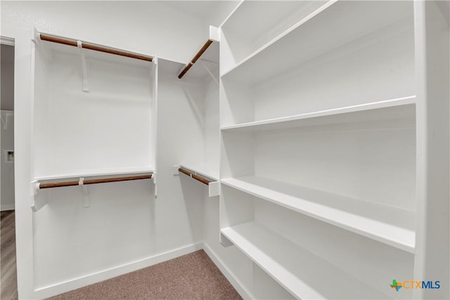 walk in closet featuring carpet flooring