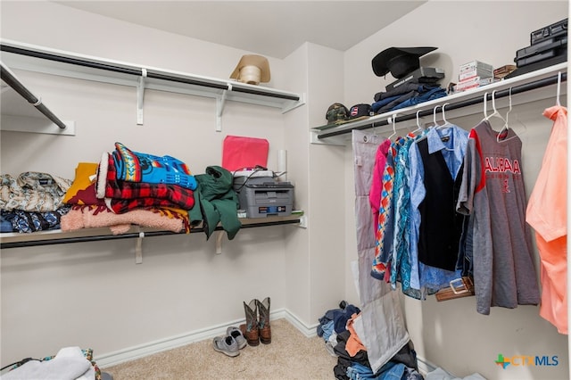 walk in closet with carpet