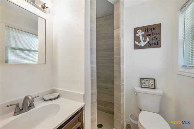 bathroom with walk in shower, vanity, and toilet