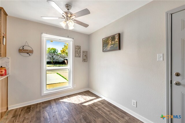 doorway featuring ceiling fan and dark hardwood / wood-style flooring