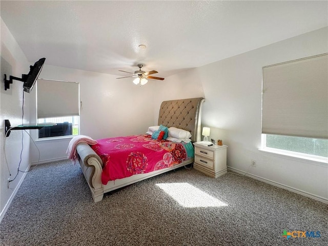 408 Rowdy Dr, Killeen, TX 76542 - bedroom featuring carpet, multiple windows, and a ceiling fan