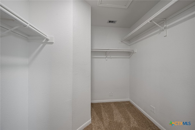 907 Pecos Cv, Leander, TX 78641 - spacious closet featuring carpet floors