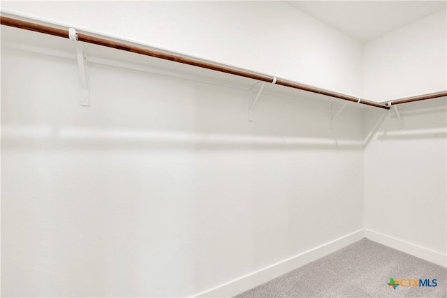 2322 Healy Dr, Temple, TX 76502 - walk in closet featuring carpet flooring