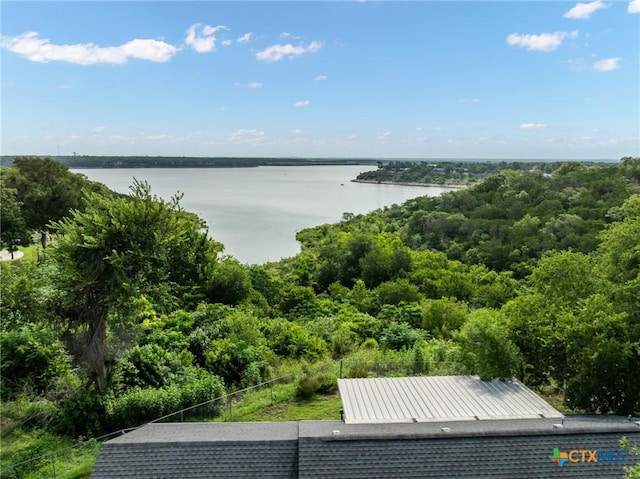 3735 Smoke Signal Rd, Belton, TX 76513 - water view with a forest