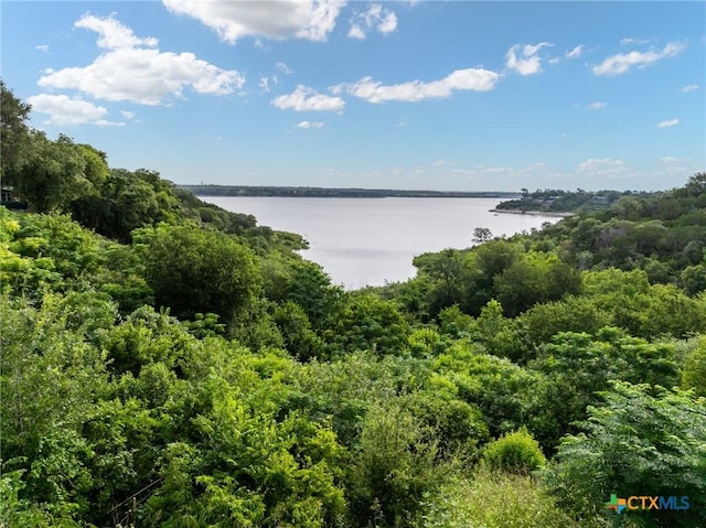 3735 Smoke Signal Rd, Belton, TX 76513 - water view with a forest