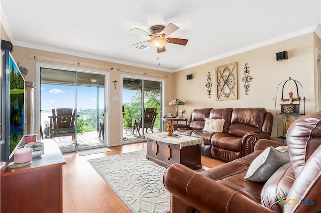 3735 Smoke Signal Rd, Belton, TX 76513 - living room featuring ceiling fan, ornamental molding, and light wood-style flooring