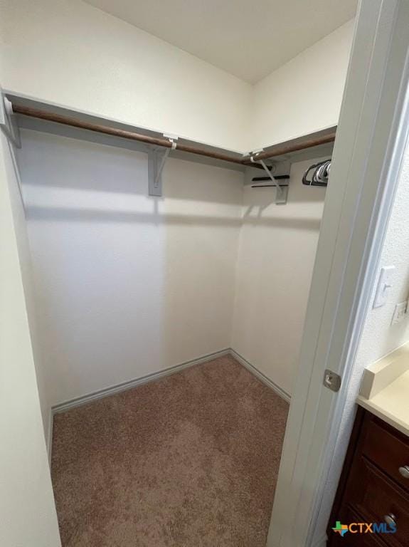 walk in closet featuring carpet