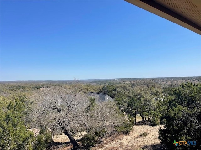 view of local wilderness