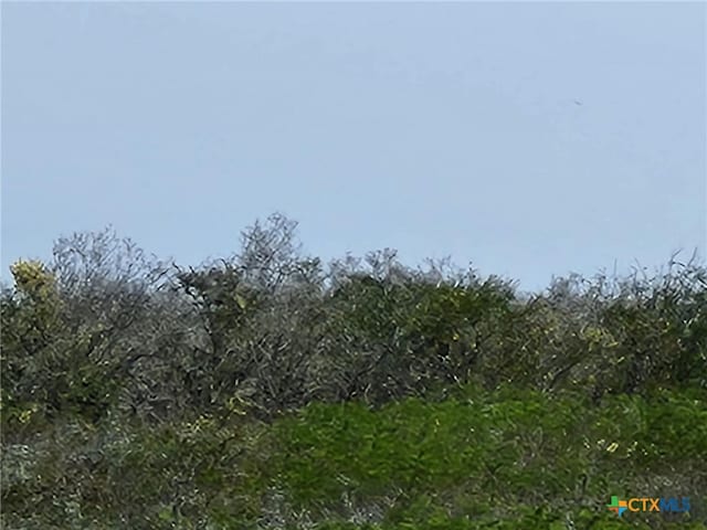 00 Live Oak Spur, George West, TX 78022 - photo 4