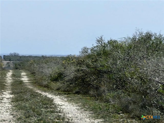 00 Live Oak Spur, George West, TX 78022 - photo 6