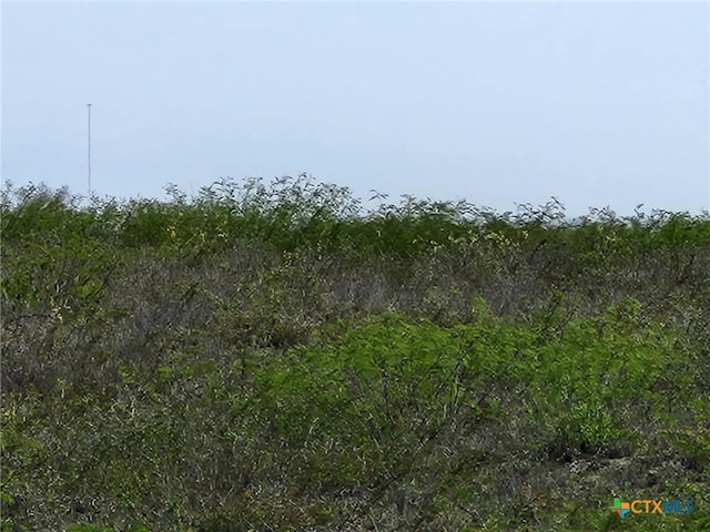 00 Live Oak Spur, George West, TX 78022 - photo 5