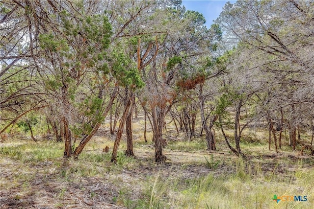 view of landscape