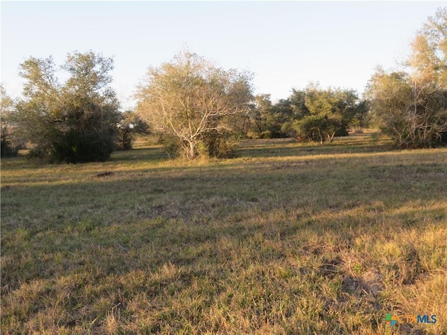 Listing photo 3 for 0 Fm 616, Francitas TX 77971