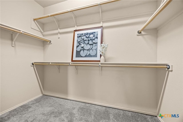 5507 Sulfur Spring Dr, Killeen, TX 76542 - walk in closet with carpet floors
