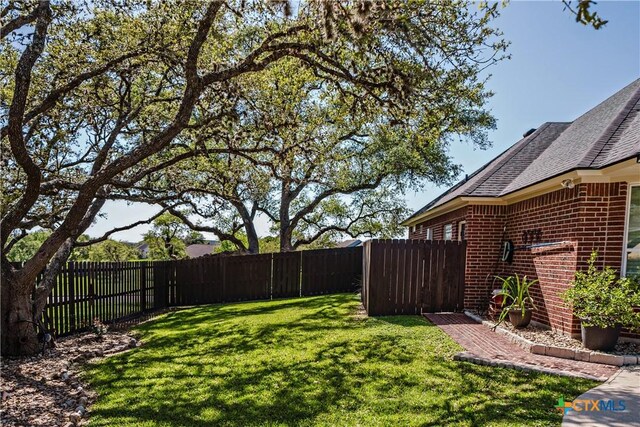 207 C L Duckett Dr, Cuero, TX 77954 - view of yard