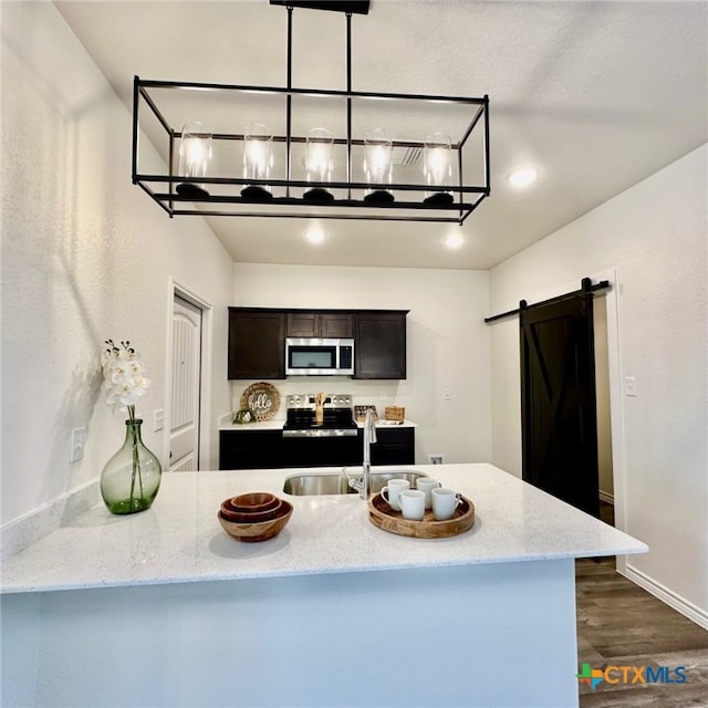 kitchen with a barn door, appliances with stainless steel finishes, kitchen peninsula, dark hardwood / wood-style flooring, and sink