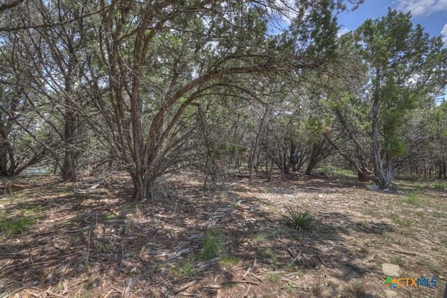 120 Sierra Way, Canyon Lake, TX 78133 - photo 25