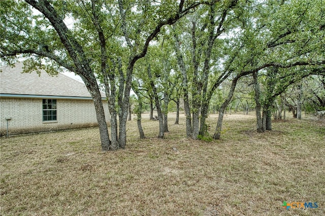 110 Rockwood Pass, Georgetown, TX 78633 - photo 30