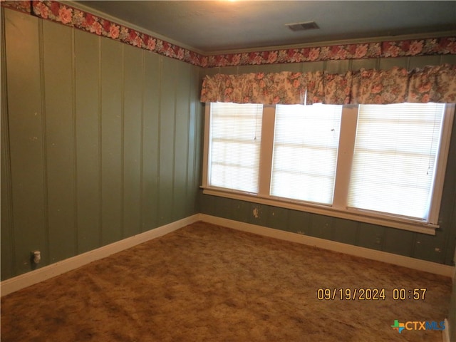 carpeted spare room with a wealth of natural light