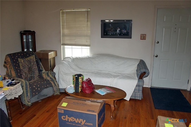 living room with dark wood-type flooring