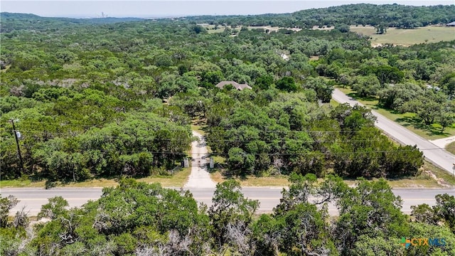 7881 Wegner Rd, New Braunfels, TX 78132 - bird's eye view of a heavily wooded area