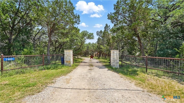 7881 Wegner Rd, New Braunfels, TX 78132 - view of dirt / gravel driveway featuring a gate and a gated entry