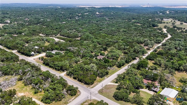 7881 Wegner Rd, New Braunfels, TX 78132 - drone / aerial view of a forest