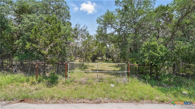 7881 Wegner Rd, New Braunfels, TX 78132 - view of yard featuring fence