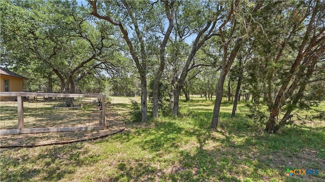 7881 Wegner Rd, New Braunfels, TX 78132 - view of yard