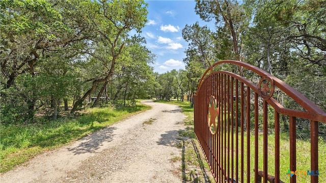 7881 Wegner Rd, New Braunfels, TX 78132 - view of road featuring a gated entry