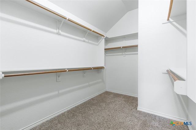 walk in closet with lofted ceiling and light carpet