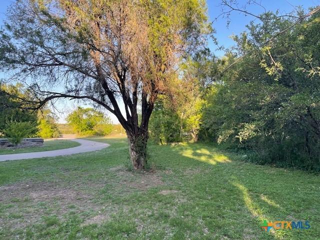20655 State Highway 195, Killeen, TX 76542 - view of yard