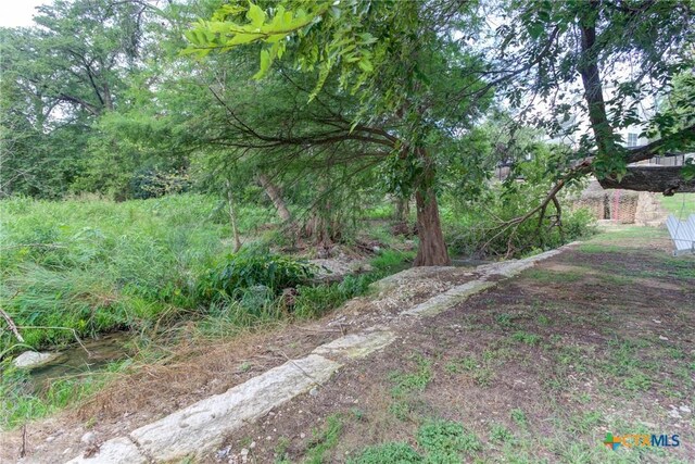 832 Albert St, New Braunfels, TX 78130 - photo 10