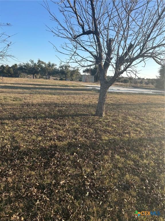 view of yard with a rural view