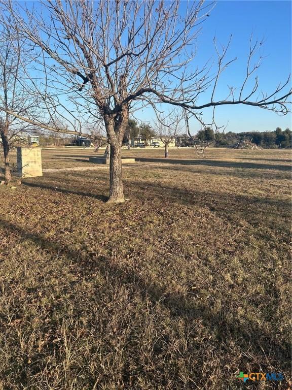 view of yard featuring a rural view