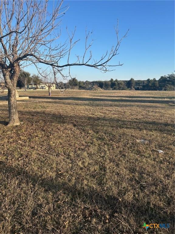 view of yard with a rural view