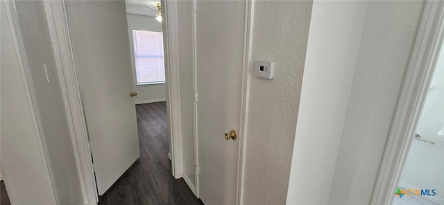 hallway with dark hardwood / wood-style flooring