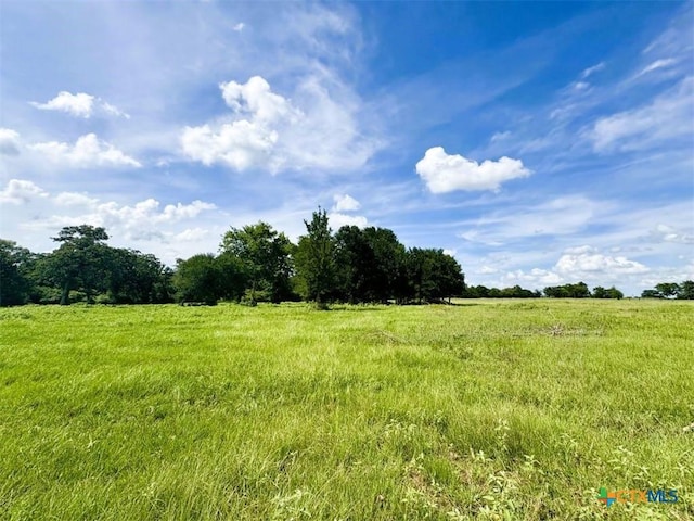 TBD Cr 318, Caldwell, TX 77836 - photo 10