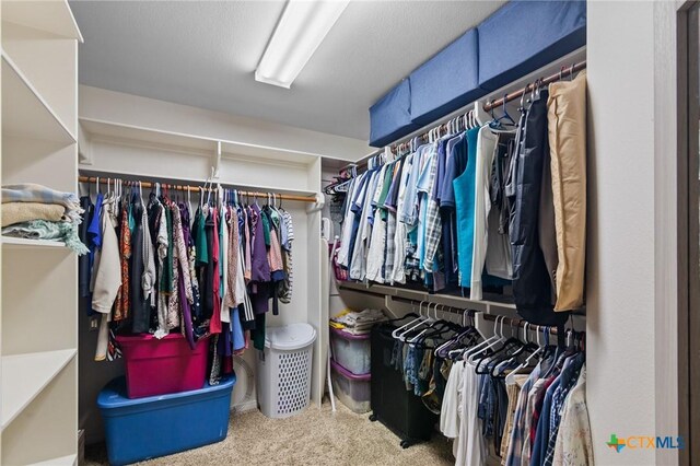 203 Terravista Trl, Victoria, TX 77904 - walk in closet featuring carpet