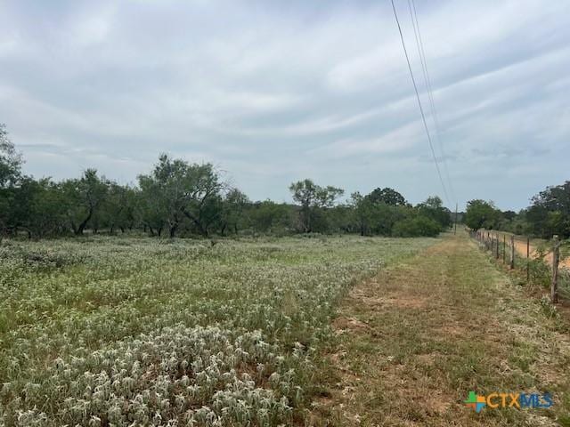 TBD County Road 121, Nixon, TX 78140 - photo 11