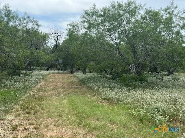 TBD County Road 121, Nixon, TX 78140 - photo 8