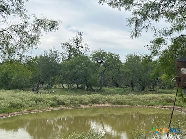 TBD County Road 121, Nixon, TX 78140 - photo 5