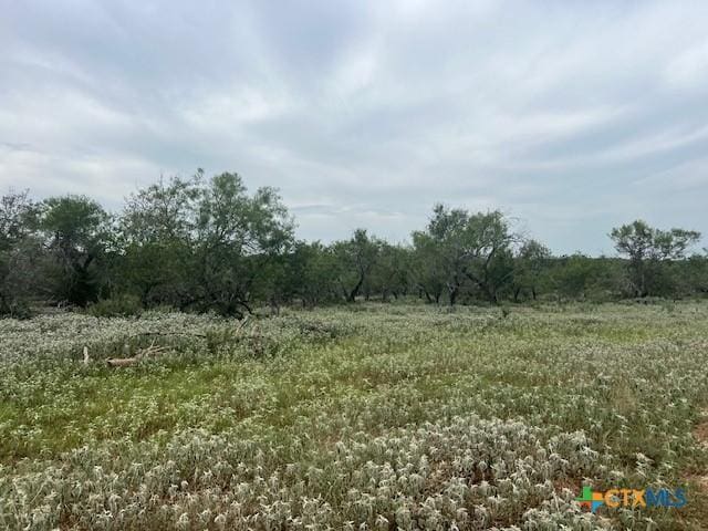 TBD County Road 121, Nixon, TX 78140 - photo 12
