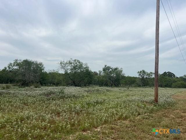 TBD County Road 121, Nixon, TX 78140 - photo 13